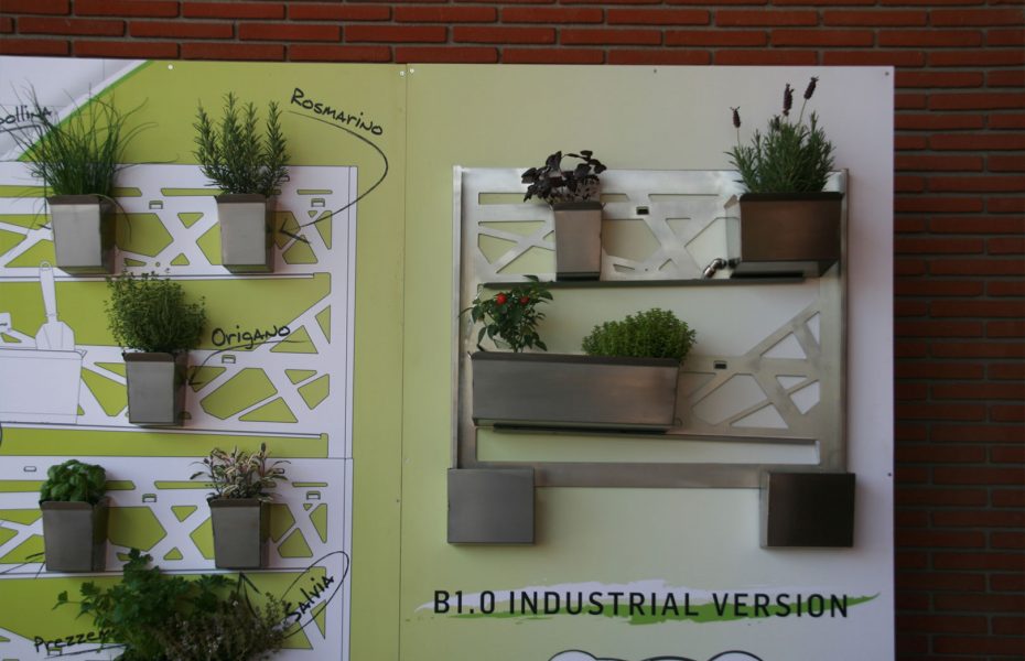Festival del Verde