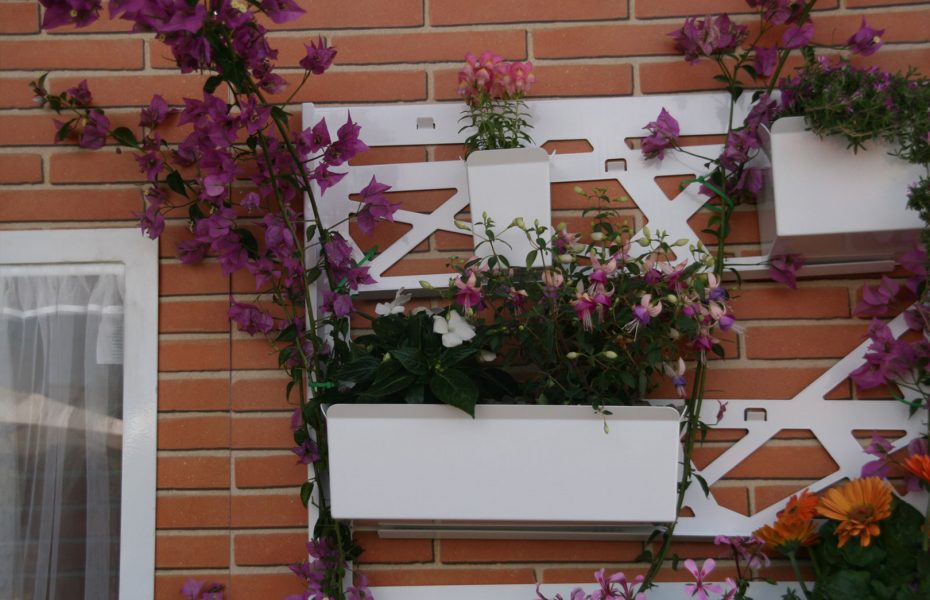 Festival del Verde