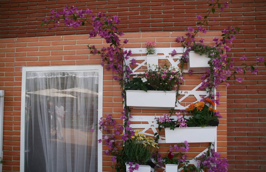Festival del Verde