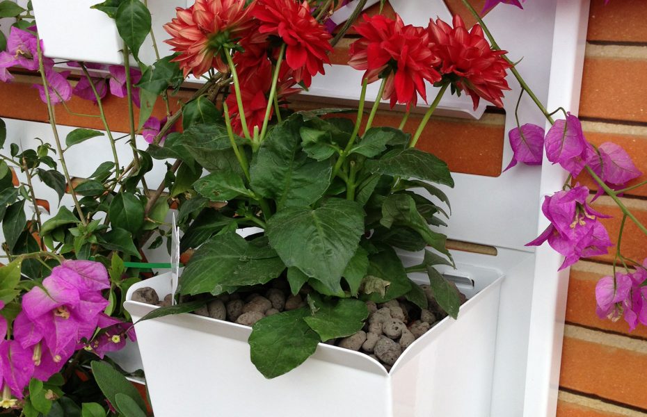 Festival del Verde
