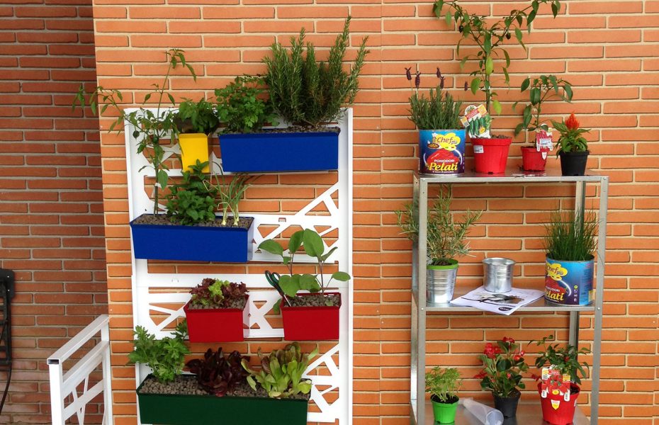 Festival del Verde