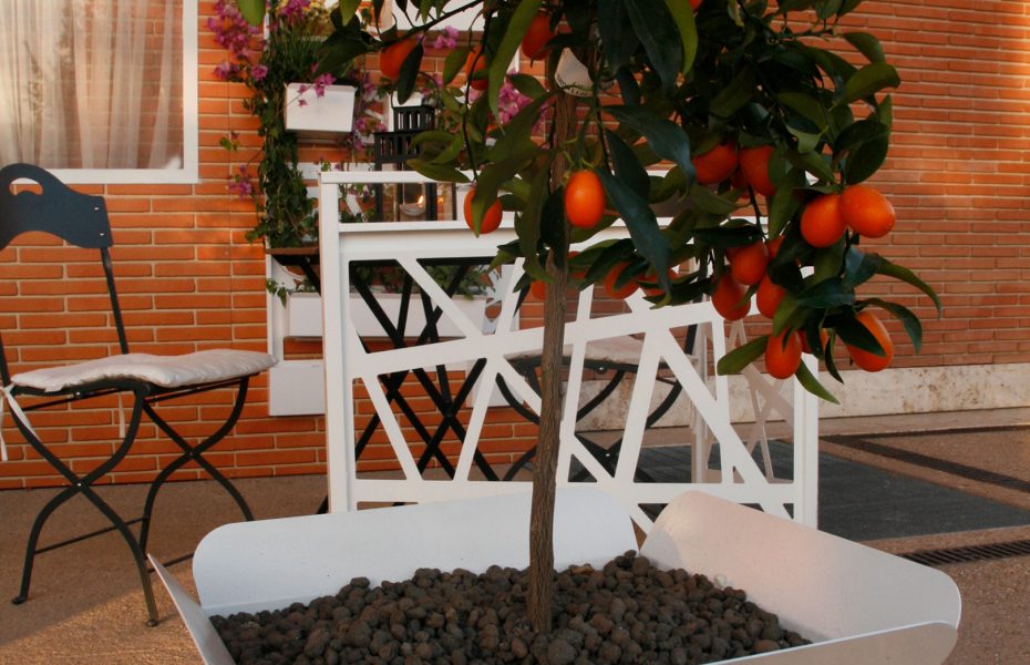 Festival del Verde