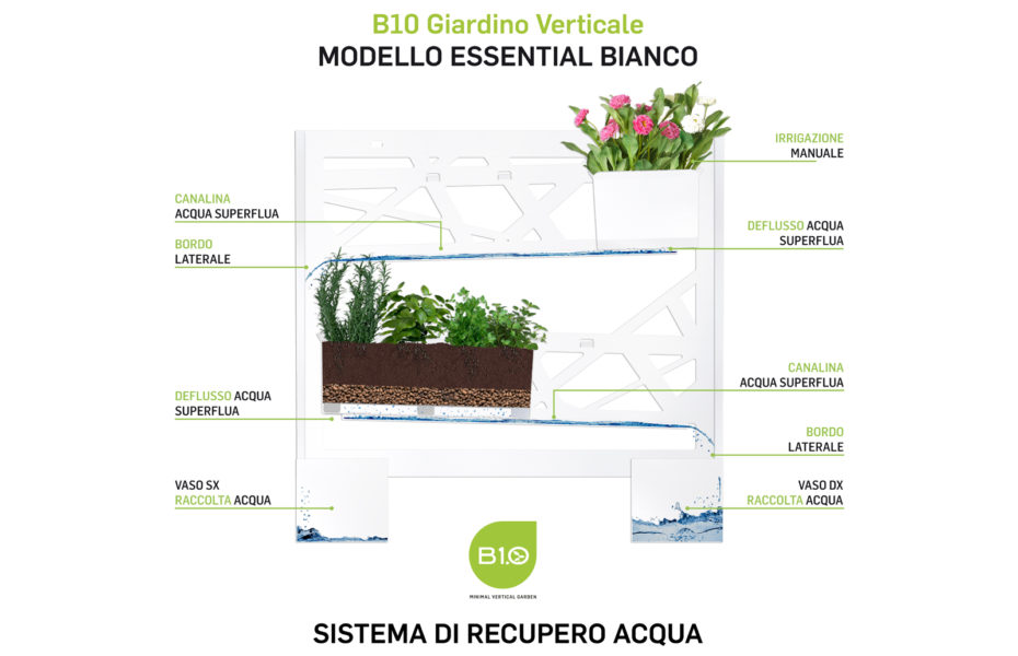 B10 Modello Essential