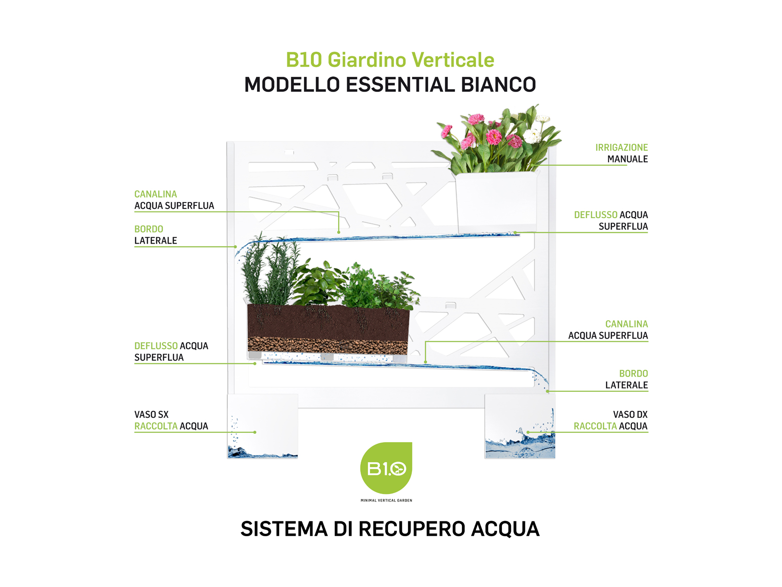 B10 Modello Essential